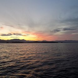 フィッシングボート空風(そらかぜ) 釣果