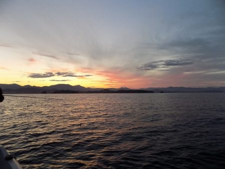 フィッシングボート空風(そらかぜ) 釣果