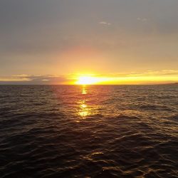 フィッシングボート空風(そらかぜ) 釣果