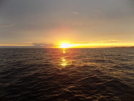 フィッシングボート空風(そらかぜ) 釣果