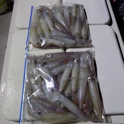 フィッシングボート空風(そらかぜ) 釣果