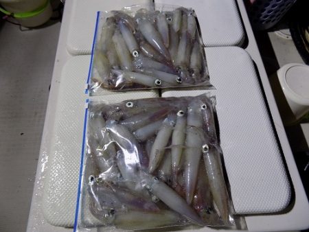 フィッシングボート空風(そらかぜ) 釣果