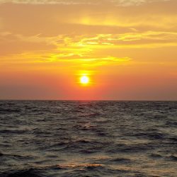 フィッシングボート空風（そらかぜ） 釣果