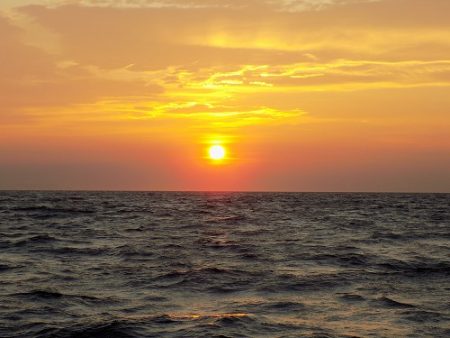 フィッシングボート空風（そらかぜ） 釣果