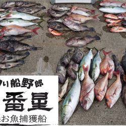 釣り船一番星 釣果