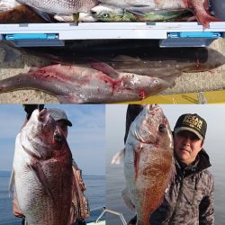 釣り船一番星 釣果