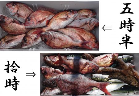 釣り船一番星 釣果