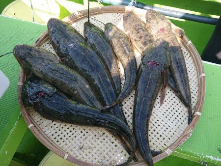 深川 吉野屋 釣果