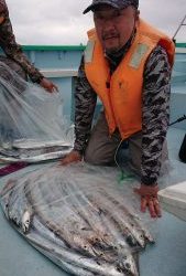 KONAYAーMARU(こなや丸) 釣果