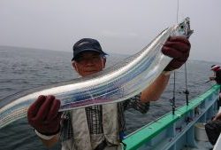 KONAYAーMARU(こなや丸) 釣果