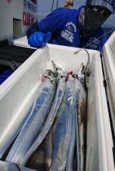 KONAYAーMARU(こなや丸) 釣果