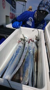 KONAYAーMARU(こなや丸) 釣果