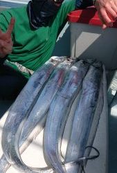 KONAYAーMARU(こなや丸) 釣果