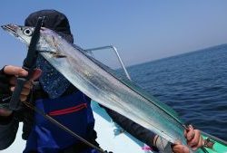 KONAYAーMARU(こなや丸) 釣果