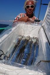 KONAYAーMARU(こなや丸) 釣果