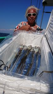 KONAYAーMARU(こなや丸) 釣果