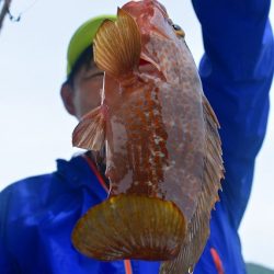 Fisherman Dreams DI 釣果