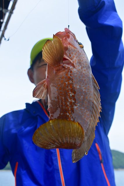 Fisherman Dreams DI 釣果