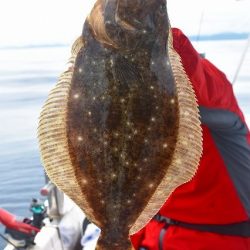 Fisherman Dreams DI 釣果