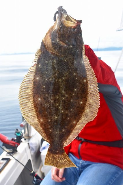 Fisherman Dreams DI 釣果