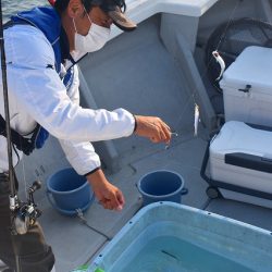 Fisherman Dreams DI 釣果