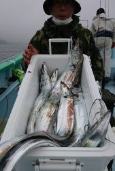 KONAYAーMARU(こなや丸) 釣果