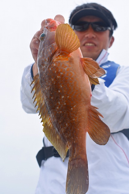 Fisherman Dreams DI 釣…