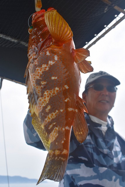 Fisherman Dreams DI 釣果