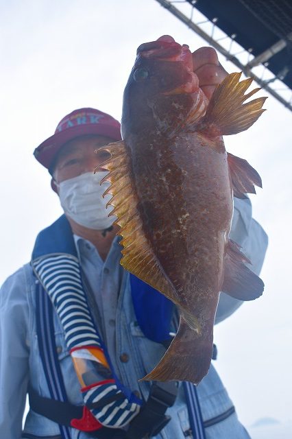 Fisherman Dreams DI 釣果