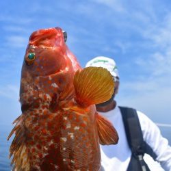 Fisherman Dreams DI 釣果