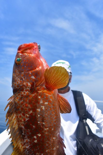 Fisherman Dreams DI 釣果