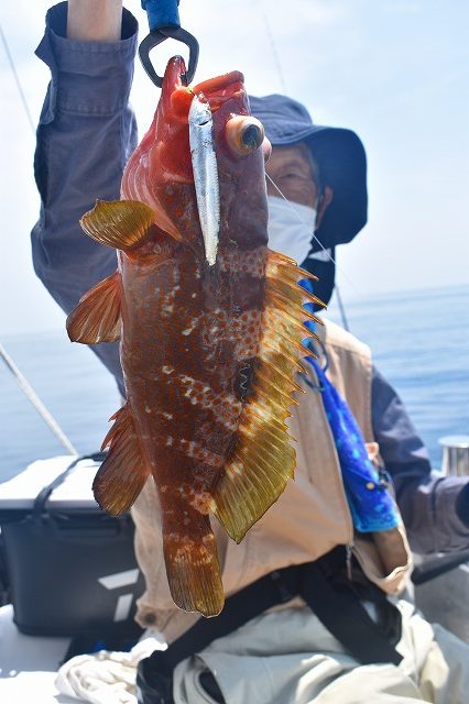 Fisherman Dreams DI 釣果