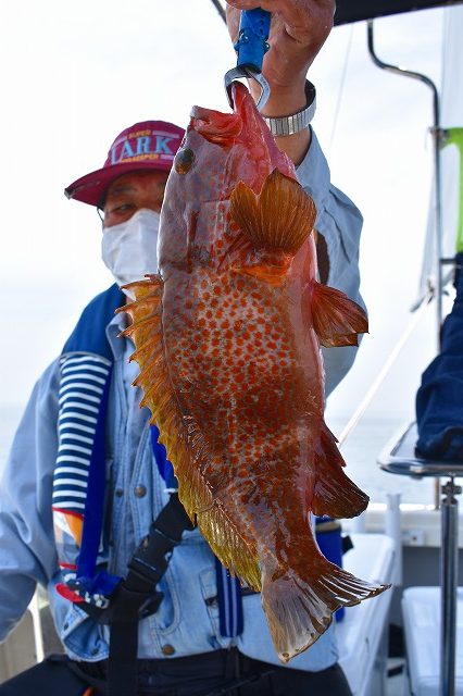 Fisherman Dreams DI 釣果