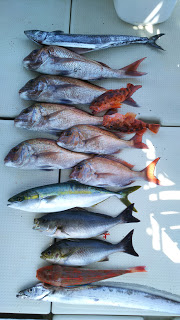 釣り舟　海竜 釣果