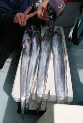 KONAYAーMARU(こなや丸) 釣果