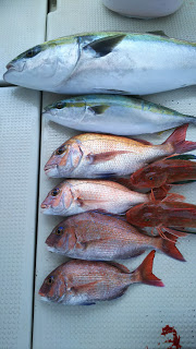 釣り舟　海竜 釣果