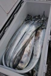 KONAYAーMARU(こなや丸) 釣果