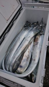 KONAYAーMARU(こなや丸) 釣果