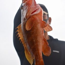 Fisherman Dreams DI 釣果