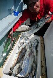 ＫＯＮＡＹＡｰＭＡＲＵ（こなや丸） 釣果