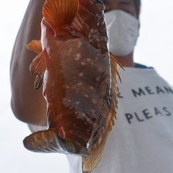 Fisherman Dreams DI 釣果