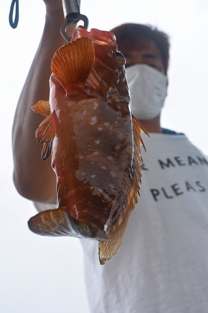 Fisherman Dreams DI 釣果