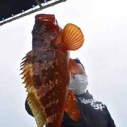 Fisherman Dreams DI 釣果