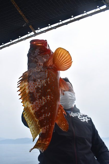 Fisherman Dreams DI 釣果