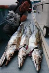 KONAYAーMARU(こなや丸) 釣果