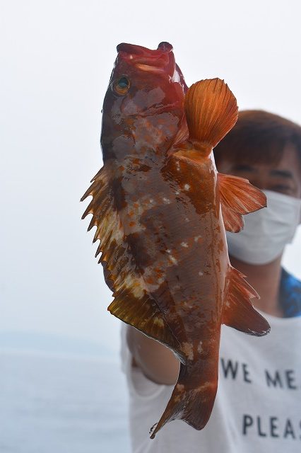 Fisherman Dreams DI 釣果