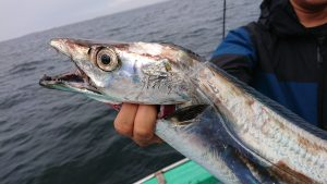 KONAYAーMARU(こなや丸) 釣果