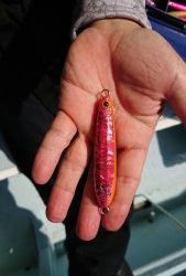 KONAYAーMARU(こなや丸) 釣果