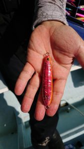 KONAYAーMARU(こなや丸) 釣果