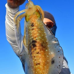 Fisherman Dreams DI 釣果